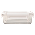 R08442.00 - Lunch box Delect 900 ml, biały/transparentny
